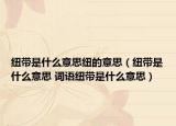 紐帶是什么意思紐的意思（紐帶是什么意思 詞語(yǔ)紐帶是什么意思）