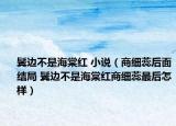 鬢邊不是海棠紅 小說（商細蕊后面結(jié)局 鬢邊不是海棠紅商細蕊最后怎樣）