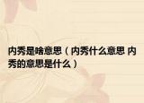 內秀是啥意思（內秀什么意思 內秀的意思是什么）