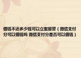 借錢不還多少錢可以立案報(bào)警（微信支付分可以借錢嗎 微信支付分是否可以借錢）