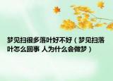 夢見掃很多落葉好不好（夢見掃落葉怎么回事 人為什么會做夢）