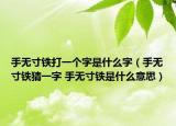 手無寸鐵打一個字是什么字（手無寸鐵猜一字 手無寸鐵是什么意思）