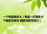 一個(gè)鴨蛋有多大（鴨蛋一打有多少個(gè)腦筋急轉(zhuǎn)彎 腦筋急轉(zhuǎn)彎簡介）