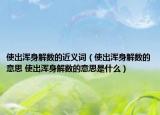 使出渾身解數的近義詞（使出渾身解數的意思 使出渾身解數的意思是什么）