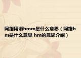 網(wǎng)絡(luò)用語(yǔ)hmm是什么意思（網(wǎng)絡(luò)hm是什么意思 hm的意思介紹）