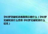 孕婦夢(mèng)到被蛇追著跑預(yù)示著什么（孕婦夢(mèng)見被蛇追什么意思 孕婦夢(mèng)見被蛇追什么征兆）