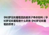 孕婦夢(mèng)見吃葡萄真的是孩子壽命短嗎（孕婦夢(mèng)見吃葡萄是什么意思 孕婦夢(mèng)見吃葡萄的意思）