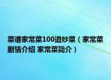 菜譜家常菜100道炒菜（家常菜劇情介紹 家常菜簡介）