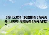 飛蝗什么成語(yǔ)（網(wǎng)絡(luò)用語(yǔ)飛蝗蕪湖是什么意思 網(wǎng)絡(luò)用語(yǔ)飛蝗蕪湖的含義）