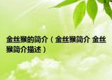 金絲猴的簡(jiǎn)介（金絲猴簡(jiǎn)介 金絲猴簡(jiǎn)介描述）