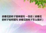 迎春花的樣子簡(jiǎn)單描寫(xiě) 一段話（迎春花的樣子如何描寫(xiě) 迎春花的樣子怎么描述）