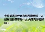 尖酸刻薄是什么意思秒懂百科（尖酸刻薄的意思是什么 尖酸刻薄的解釋）