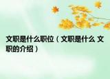 文職是什么職位（文職是什么 文職的介紹）