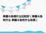 泰國(guó)斗魚喂什么比較好（泰國(guó)斗魚吃什么 泰國(guó)斗魚吃什么東西）