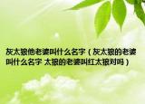 灰太狼他老婆叫什么名字（灰太狼的老婆叫什么名字 太狼的老婆叫紅太狼對嗎）