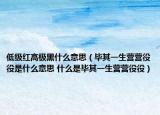 低級紅高極黑什么意思（畢其一生營營役役是什么意思 什么是畢其一生營營役役）