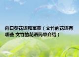 向日葵花語和寓意（文竹的花語有哪些 文竹的花語簡(jiǎn)單介紹）