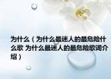 為什么（為什么最迷人的最危險(xiǎn)什么歌 為什么最迷人的最危險(xiǎn)歌詞介紹）