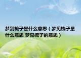 夢到梳子是什么意思（夢見梳子是什么意思 夢見梳子的意思）