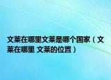 文萊在哪里文萊是哪個國家（文萊在哪里 文萊的位置）