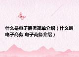 什么是電子商務(wù)簡單介紹（什么叫電子商務(wù) 電子商務(wù)介紹）