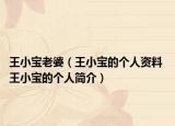 王小寶老婆（王小寶的個(gè)人資料 王小寶的個(gè)人簡(jiǎn)介）
