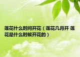 蓮花什么時(shí)間開(kāi)花（蓮花幾月開(kāi) 蓮花是什么時(shí)候開(kāi)花的）