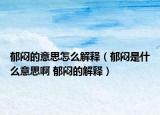 郁悶的意思怎么解釋?zhuān)ㄓ魫炇鞘裁匆馑及?郁悶的解釋?zhuān)? /></span></a>
                        <h2><a href=