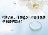 it牌子屬于什么檔次（it是什么牌子 it牌子簡(jiǎn)述）