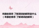 豐腴的意思 了解詞語的解釋是什么（豐腴的意思 了解詞語的解釋）