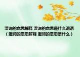 濕潤的意思解釋 濕潤的意思是什么詞語（濕潤的意思解釋 濕潤的意思是什么）