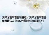 天降之物風音日和壁紙（天降之物風音日和是什么人 天降之物風音日和的簡介）