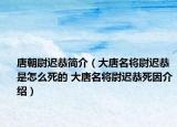 唐朝尉遲恭簡(jiǎn)介（大唐名將尉遲恭是怎么死的 大唐名將尉遲恭死因介紹）