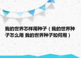 我的世界怎樣用種子（我的世界種子怎么用 我的世界種子如何用）