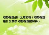 動(dòng)靜相宜是什么意思?。▌?dòng)靜相宜是什么意思 動(dòng)靜相宜的解釋）