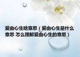 愛(ài)由心生啥意思（愛(ài)由心生是什么意思 怎么理解愛(ài)由心生的意思）