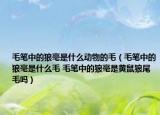 毛筆中的狼毫是什么動(dòng)物的毛（毛筆中的狼毫是什么毛 毛筆中的狼毫是黃鼠狼尾毛嗎）