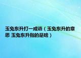 玉兔東升打一成語（玉兔東升的意思 玉兔東升指的是啥）