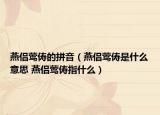 燕侶鶯儔的拼音（燕侶鶯儔是什么意思 燕侶鶯儔指什么）