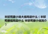 半妖司藤小說大結(jié)局是什么（半妖司藤結(jié)局是什么 半妖司藤小說簡介）