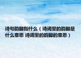 詩句韻腳指什么（詩詞里的韻腳是什么意思 詩詞里的韻腳的意思）