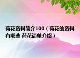 荷花資料簡(jiǎn)介100（荷花的資料有哪些 荷花簡(jiǎn)單介紹）