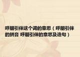 呼朋引伴這個(gè)詞的意思（呼朋引伴的拼音 呼朋引伴的意思及造句）