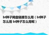 bt種子網(wǎng)盤(pán)鏈接怎么用（bt種子怎么用 bt種子怎么用呢）