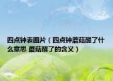 四點鐘表圖片（四點鐘蘑菇醒了什么意思 蘑菇醒了的含義）