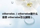 otherwise.（otherwise是什么意思 otherwise怎么解釋）