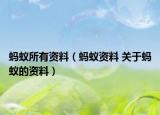 螞蟻所有資料（螞蟻資料 關(guān)于螞蟻的資料）