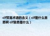 cif貿(mào)易術(shù)語的含義（cif是什么意思啊 cif意思是什么）