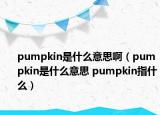 pumpkin是什么意思?。╬umpkin是什么意思 pumpkin指什么）