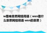 w是啥意思網(wǎng)絡(luò)用語（wsn是什么意思網(wǎng)絡(luò)用語 wsn的意思）